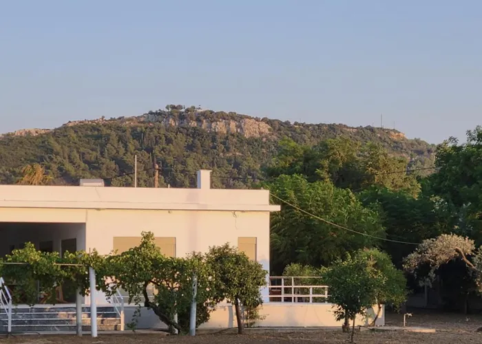 Aegean & Garden In